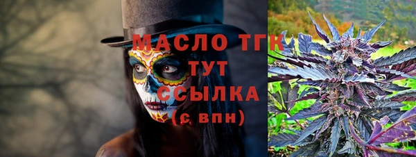 сатива Аркадак